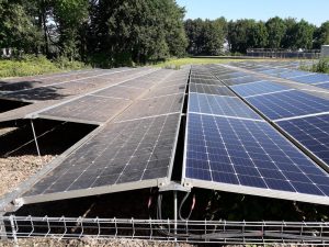 Solarpark vor und nach der Reinigung