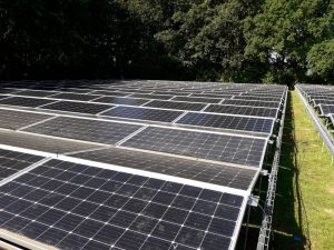 reiniging solarpark